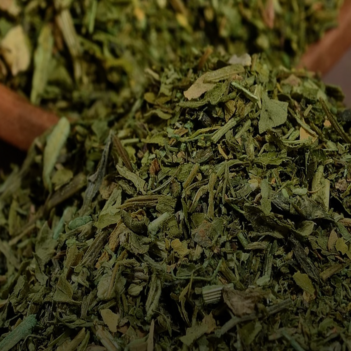 Yerba mate extract